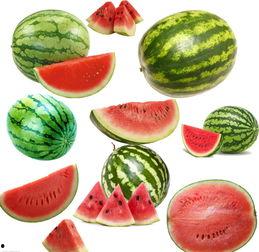 夏邱吃瓜,揭秘夏日消暑美食背后的故事