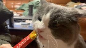 凌凌吃瓜喵,揭秘娱乐圈那些不为人知的幕后故事