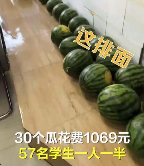 葛老师吃瓜,揭秘娱乐圈幕后故事